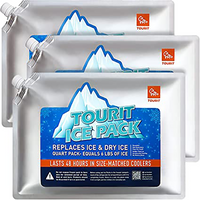Reusable Ice Packs for Coolers