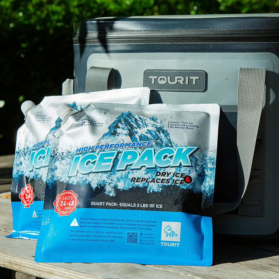 Reusable Ice Packs for Coolers